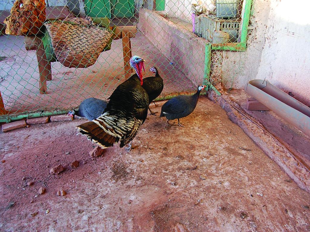 Gite Souss أولاد تايمة المظهر الخارجي الصورة